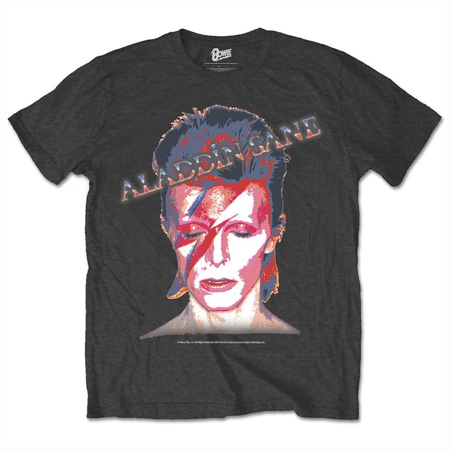 Aladdin Sane Hommes Musique T Shirt