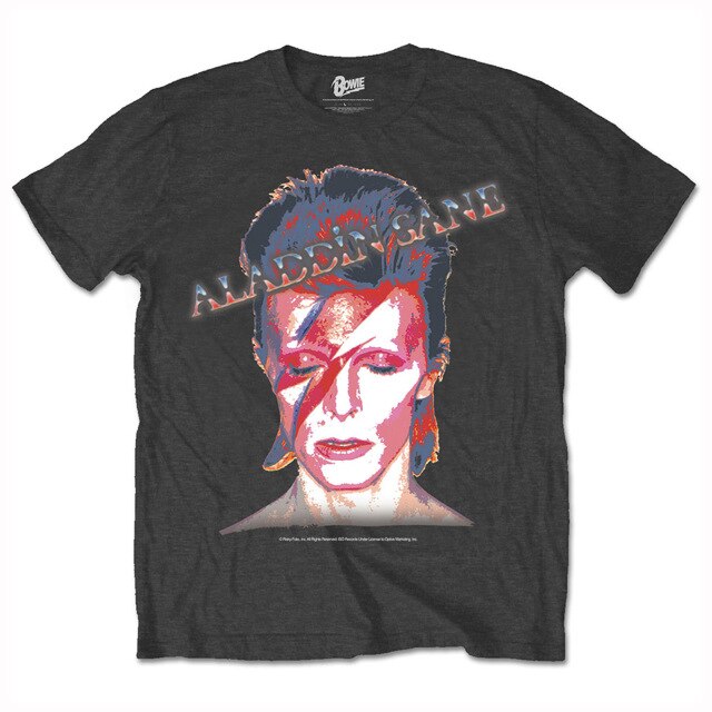 Aladdin Sane Hommes Musique T Shirt